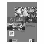 Aspekte neu C1, Lehrerhandbuch mit digitaler Medien-DVD-ROM. Mittelstufe Deutsch - Birgitta Fröhlich