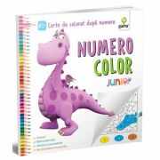 Numero Color. Junior Plus. Carte de colorat dupa numere