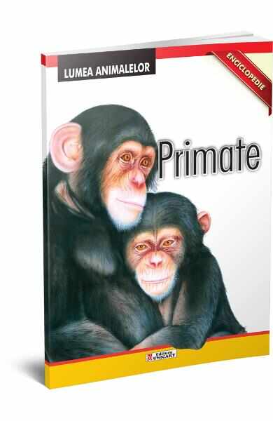 Enciclopedie: Primate