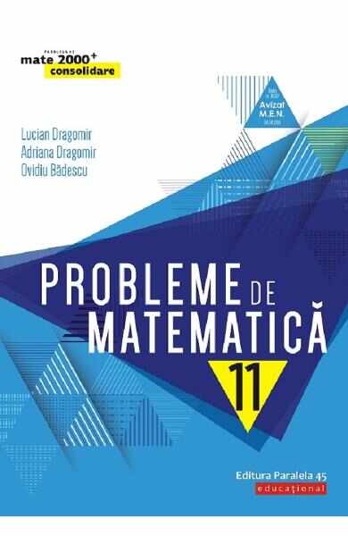 Probleme de matematica. Consolidare - Clasa 11 - Lucian Dragomir