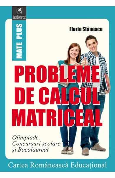 Probleme de calcul matriceal - Florin Stanescu
