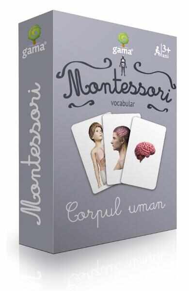 Montessori - Vocabular: corpul uman
