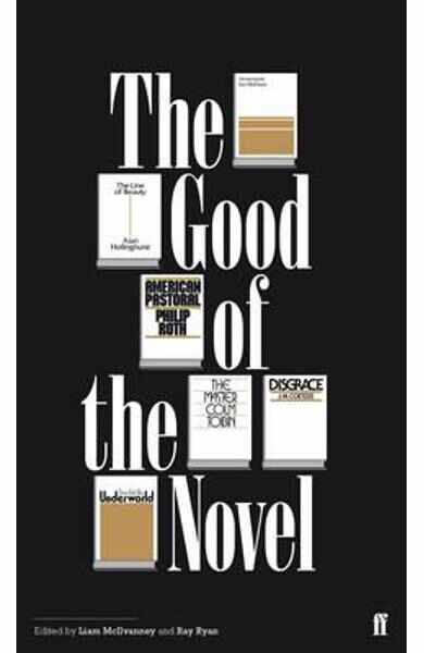 The Good of the Novel - Liam McIlvanney, Ray Ryan