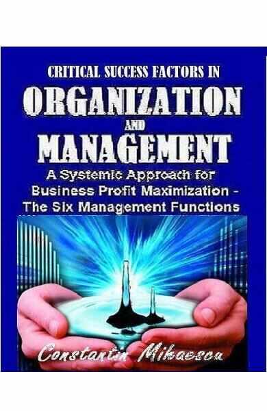 Critical Success Factors In Organization And Management - Constantin Mihaescu