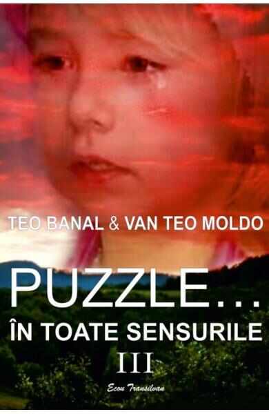 Puzzle... in toate sensurile Vol. 3 - Teo Banal, Van Teo Moldo