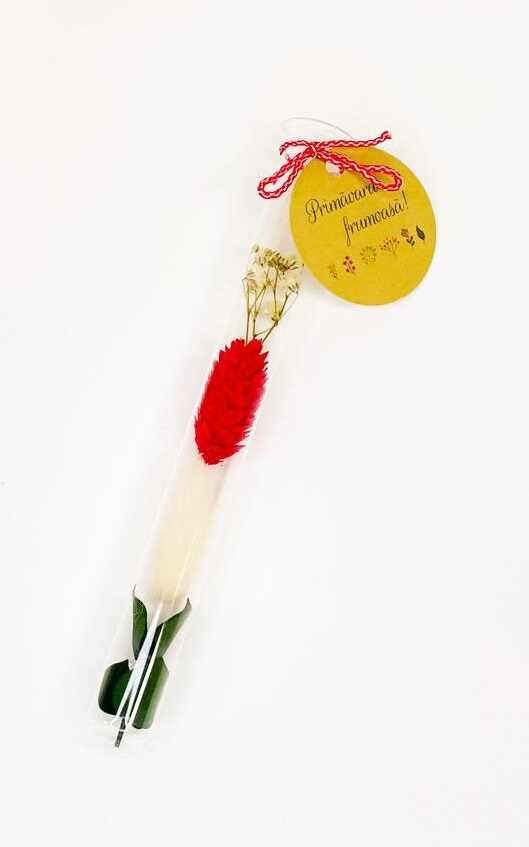 Martisor Eprubeta cu flori prezervate - model rosu | Plante Cadou