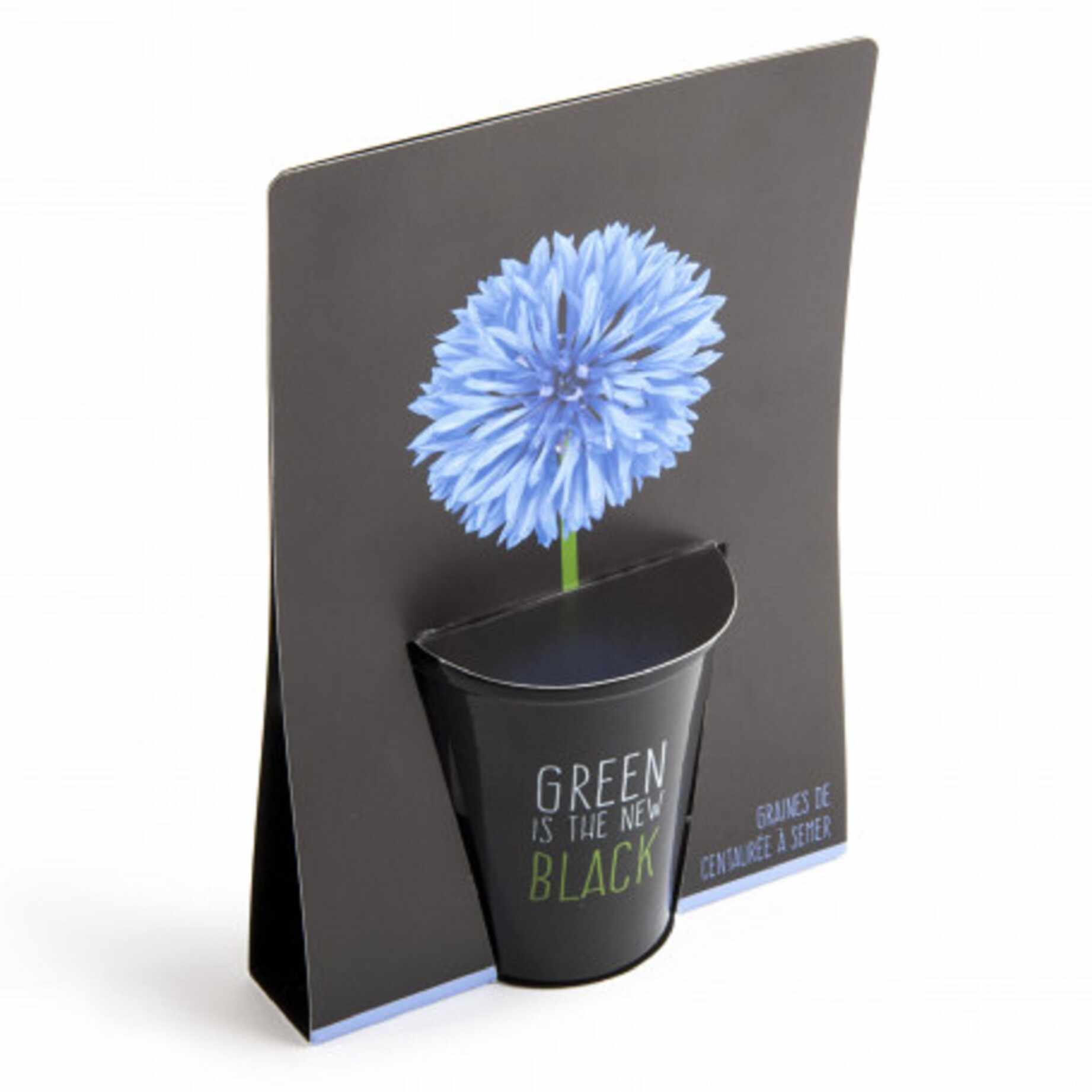 Kit complet pentru plantat cu seminte de albastrea - Green is the New Black | Radis et Capucine