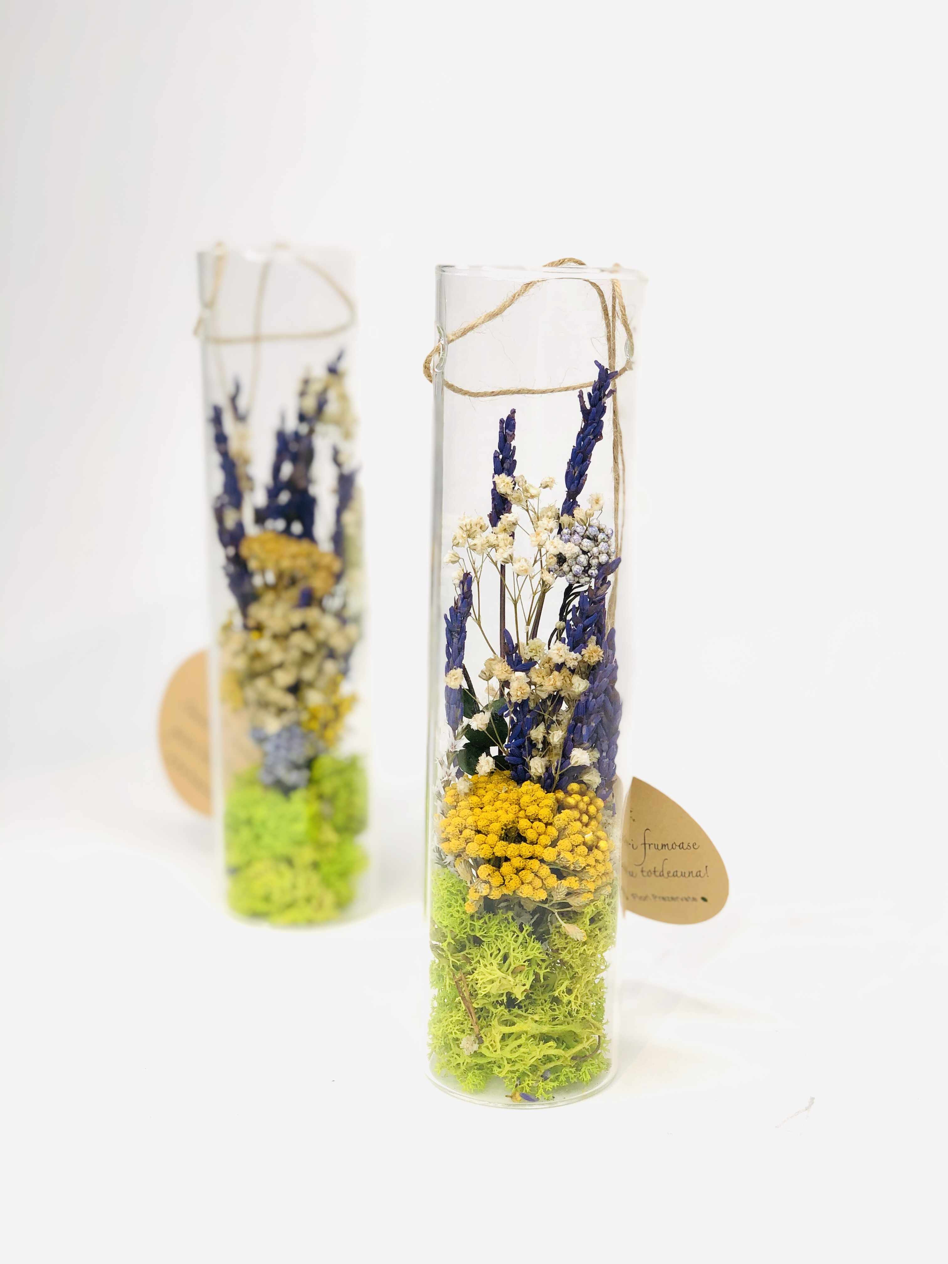 Tub sticla flori prezervate | Plante Cadou