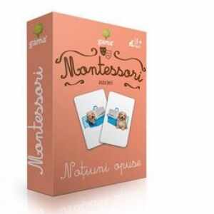 Carti de joc Montessori - Notiuni opuse