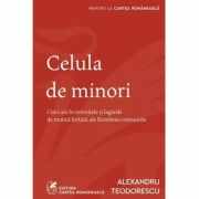 Celula de minori - Alexandru Teodorescu