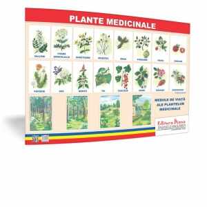 Plante medicinale - plansa 50x70