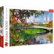 Puzzle Central Park New York, 1000 piese