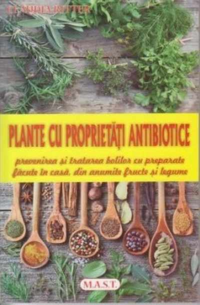 Plante cu proprietati antibiotice | Claudia Ritter