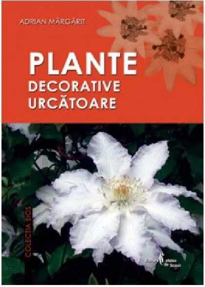 Plante decorative urcatoare | Adrian Margarit