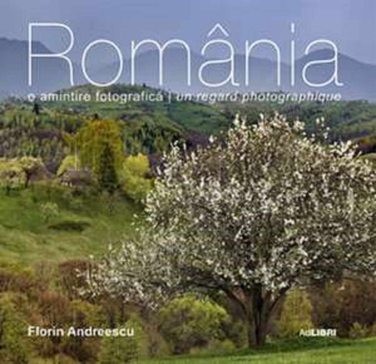 Romania | Florin Andreescu