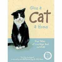 Give A Cat A Home True Tales Of Courage And Survival