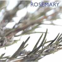 Rosemary (Little Kitchen Collection (Southwater))
