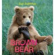 Brown Bear - Eye on the Wild