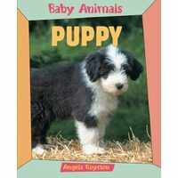 Puppy (Baby Animals)