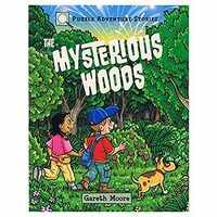 Puzzle Adventure Stories: The Mysterious Woods