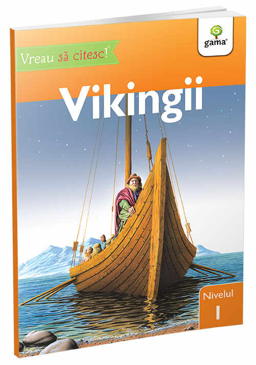 Vikingii nivelul 1