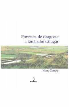 Povestea de dragoste a tanarului calugar - Wang Zengqi