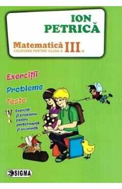 Matematica - Clasa 3 - Culegere - Ion Petrica