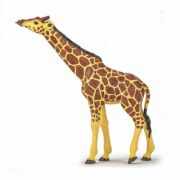 Figurina girafa cu cap ridicat, Papo