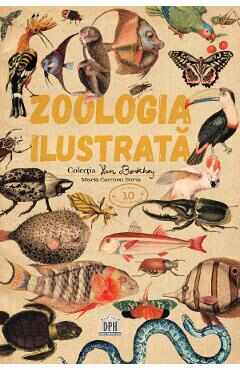 Zoologia ilustrata - Maria Carmen Soria