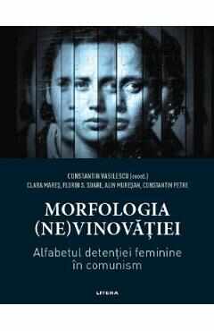 Morfologia (ne)vinovatiei. Alfabetul detentiei feminine in comunism - Constantin Vasilescu