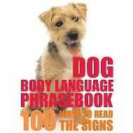 DOG BODY LANGUAGE 