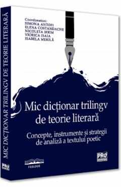Mic dictionar trilingv de teorie literara - Simona Antofi, Elena Constandache, Nicoleta Ifrim, Viorica Isaia, Isabela Merila