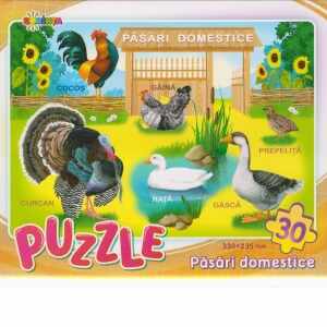 Puzzle - Pasari domestice (30 piese)