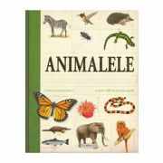 Animalele. Enciclopedie pentru copii (peste 1000 de ilustrații)