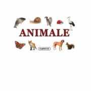 Animale - pliant cartonat